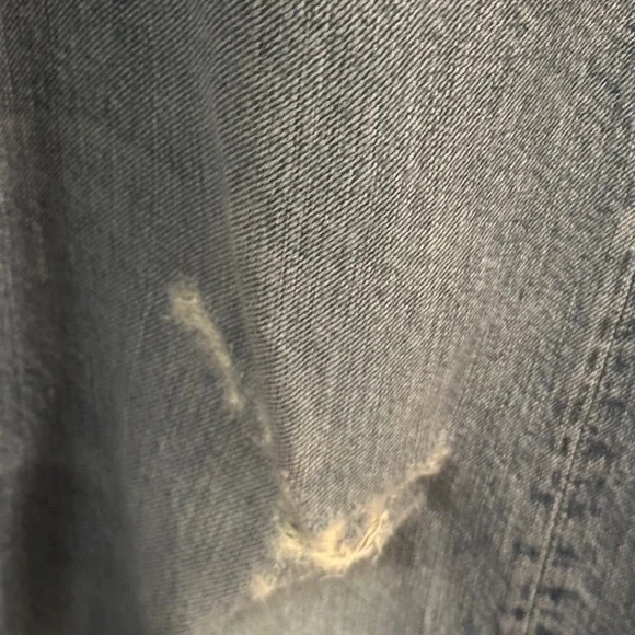 Citizens of Humanity Distressed Jeans